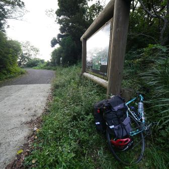 周回コースで戻ってきた