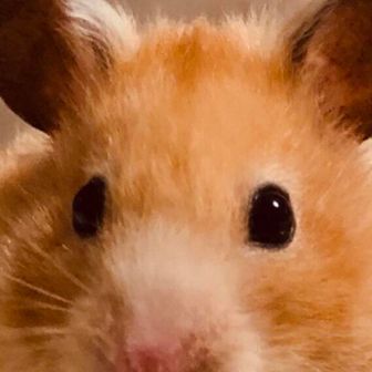 ポンコツ登山者@