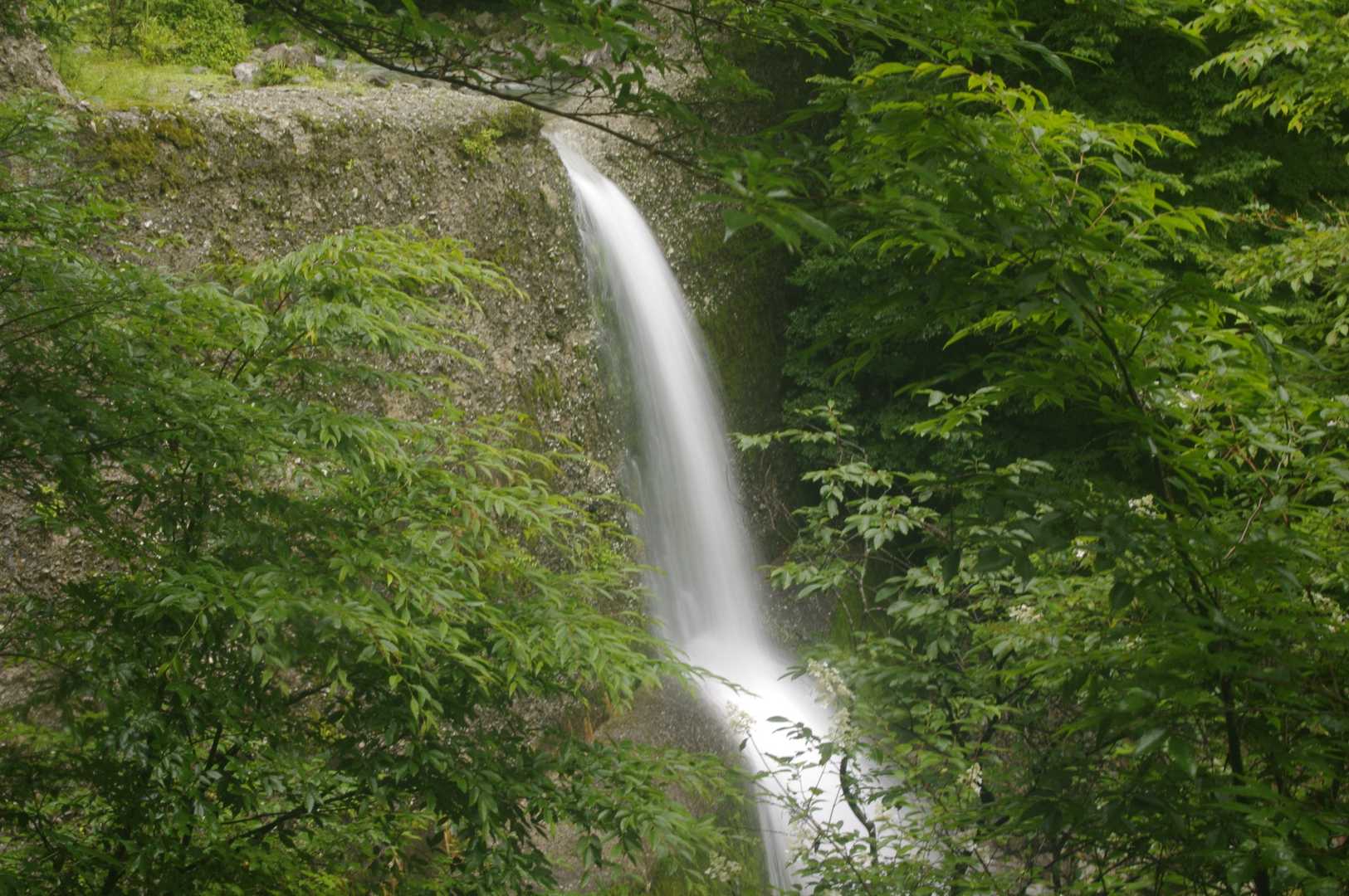 何にも取れなかったのでせめて滝を撮ってみようと撮影しました。