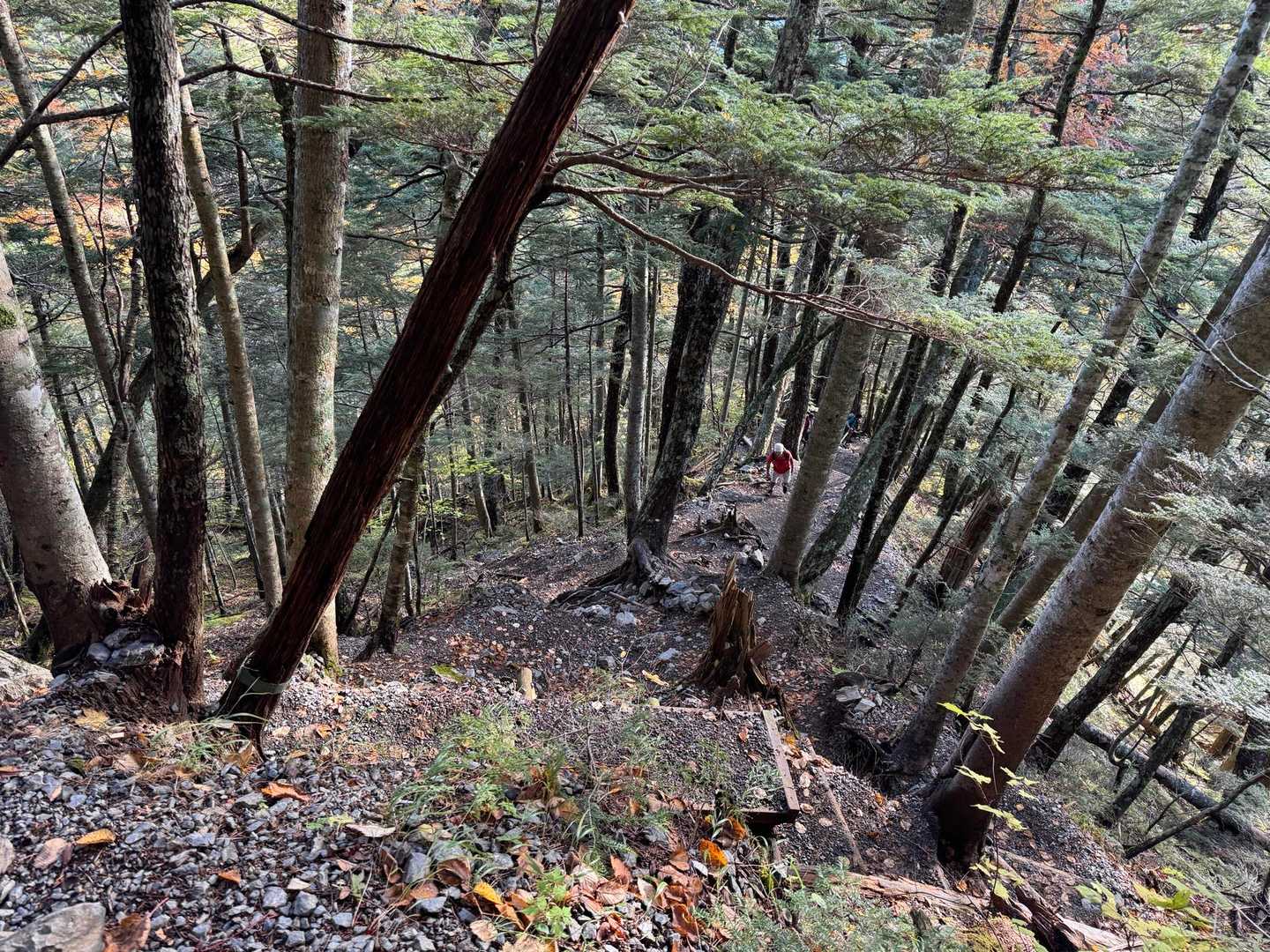 急登
バスで登山者が一緒に登り始めるので混雑