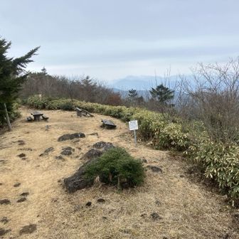 展望台から見た山頂部。開けてます。