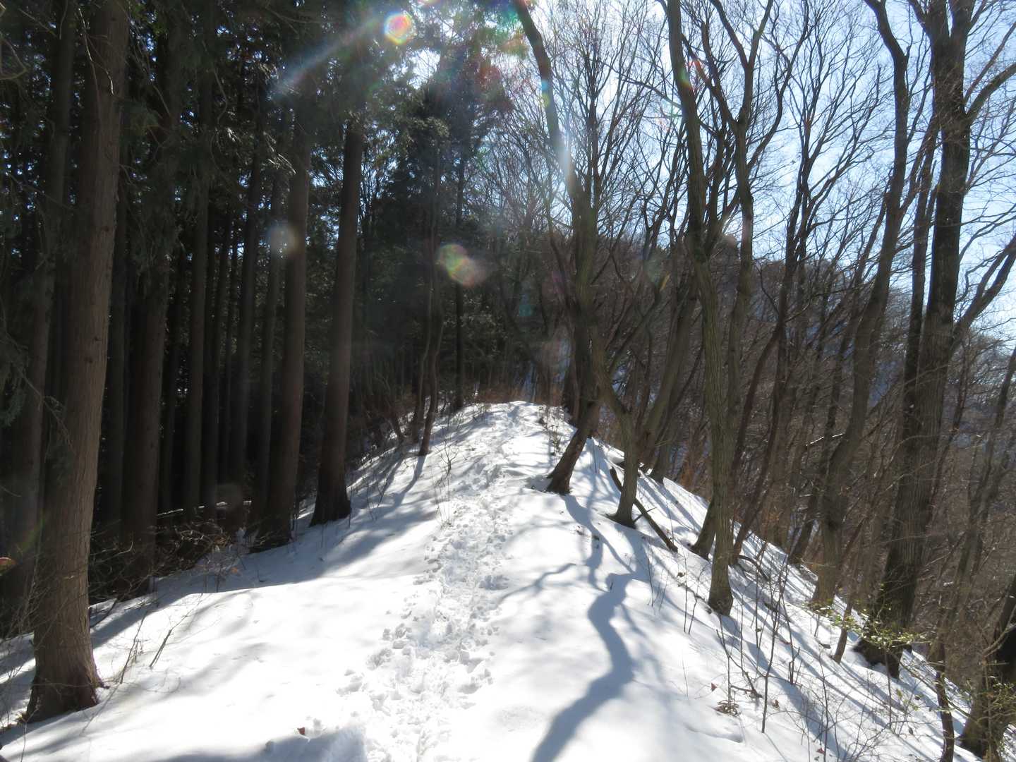 あと少しで山頂ですね。山頂付近は積雪50センチくらいありそう。