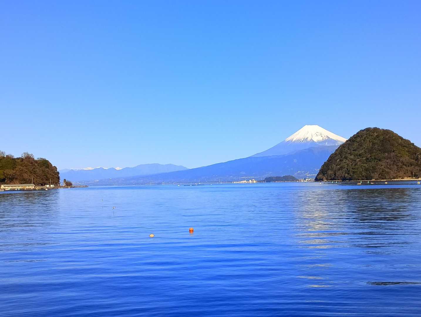 発端丈山 往復コース | 淡島越しの富士、駿河湾の青、風と伊豆の絶景の写真