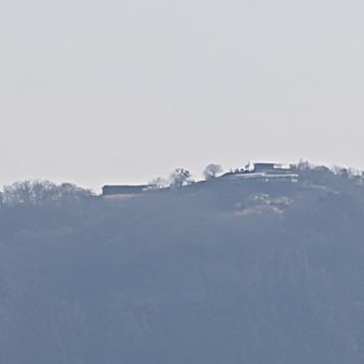 陣馬山の馬いるね