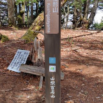 櫛形山の最高点に登頂🌈午前10時39分。この新しい山頂標識は奥仙重の北500mほどにあるピーク地点に設置されている