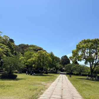 青い空と緑が眩しい🩵💚✨✨