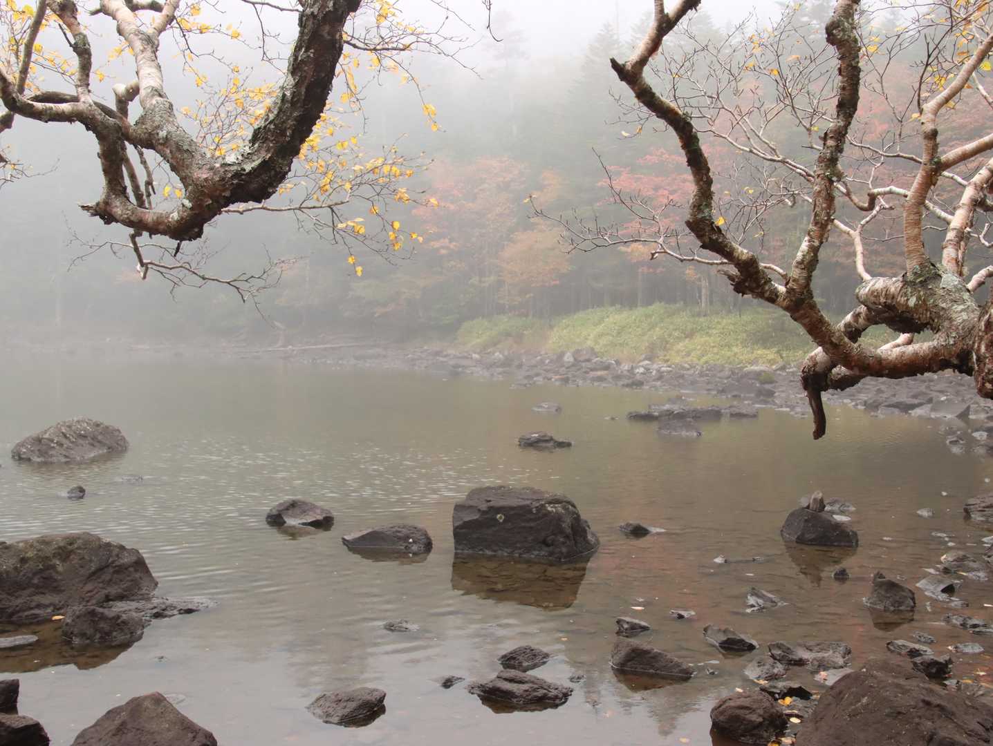 大河原峠-双子山 周回コースの写真
