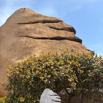 ？な岩の正体はニコニコ岩🪨