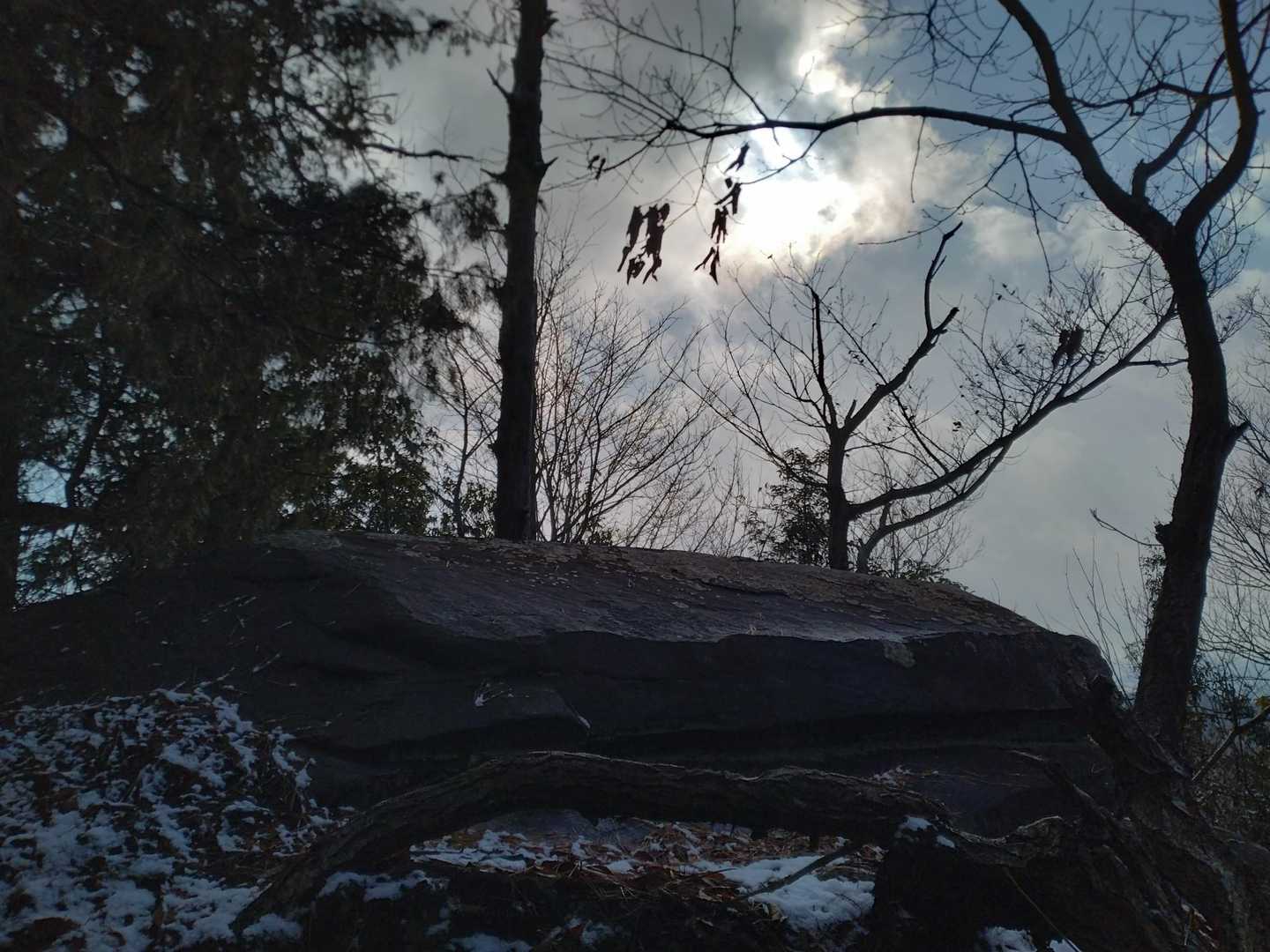眺望良さそうな岩あり