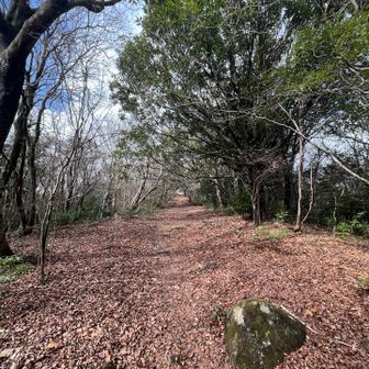 日が照ってきました