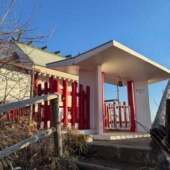 榛名富士山頂
山頂標識、グルグル歩き回って探したけれど
結局見つからなかった🔍

数年前のフィールドメモを見ると
マジック手書きの小さめの山頂標識だったので
風で飛ばされたか管理者に撤去されたのかな？