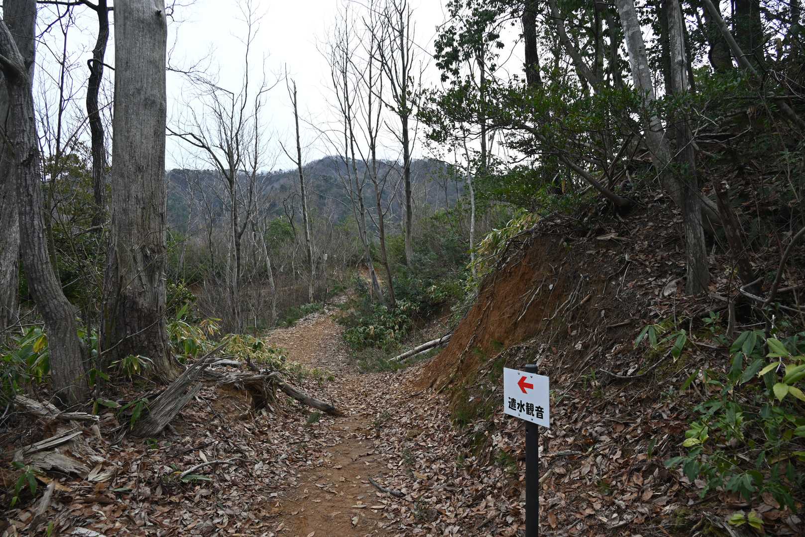 📸約1ヶ月前に登った遣水観音山に行けるみたいです。