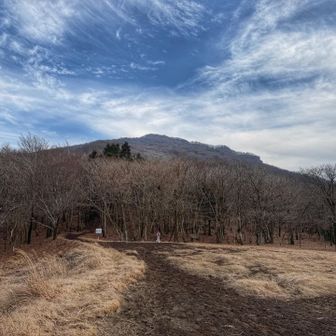 まったく雪なし。暖かな年の瀬