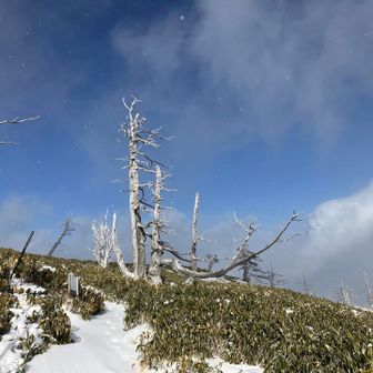 コリトリへ戻ろうと思っていたら
急に青空が！