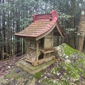 愛宕山の山頂で良い？