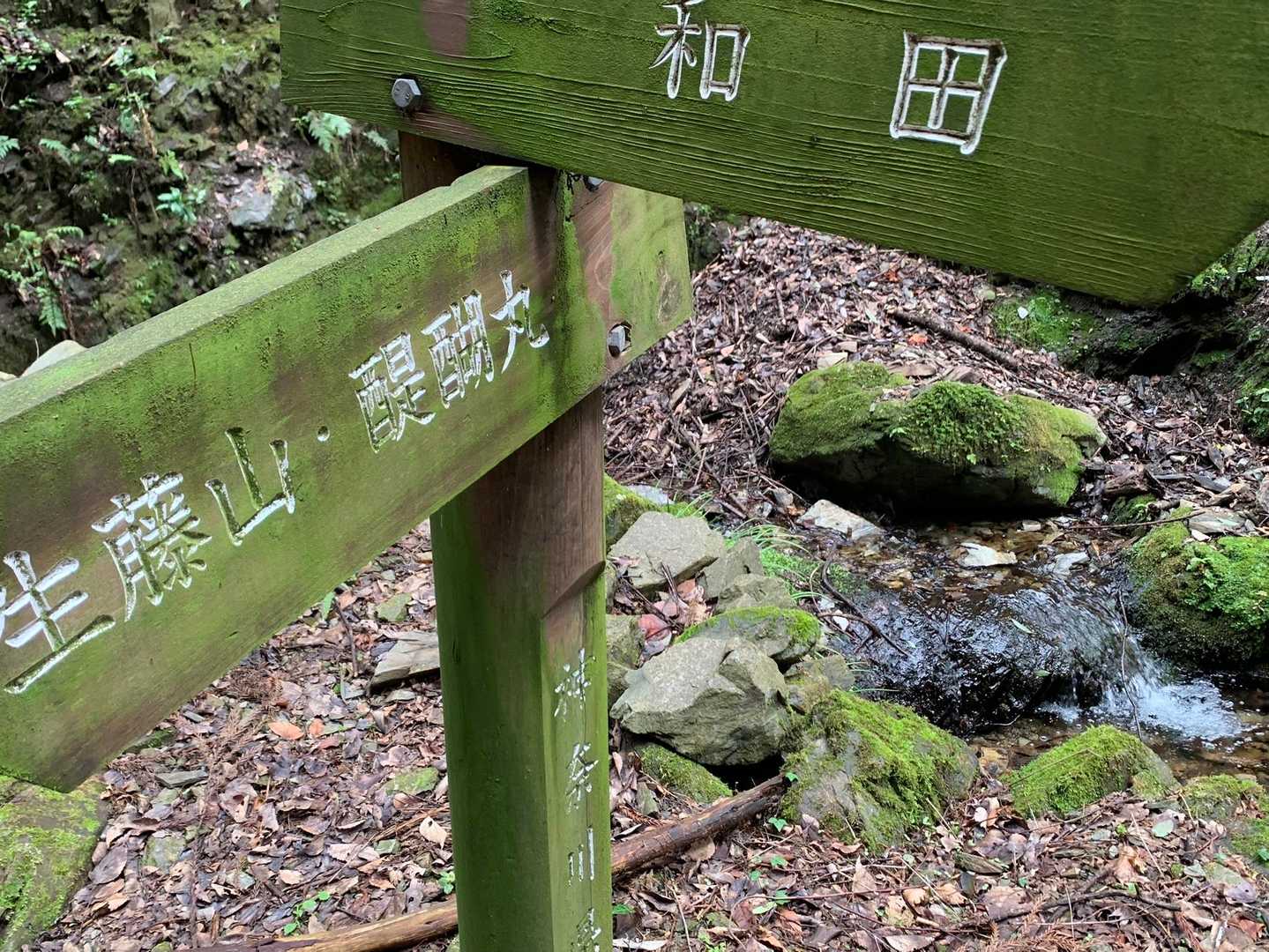 抹茶🍵パウダーがかかってる道標