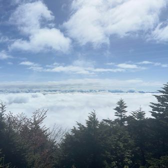 岩の上に立つと遮るものなし。雲海からひょこひょこ山頂だけ出ているのも面白い🤣
ここで朝ご飯を食べながら愛知から来られた方とお話ししてました
この後また山頂はガスに包まれたようでほんと良いタイミングでした