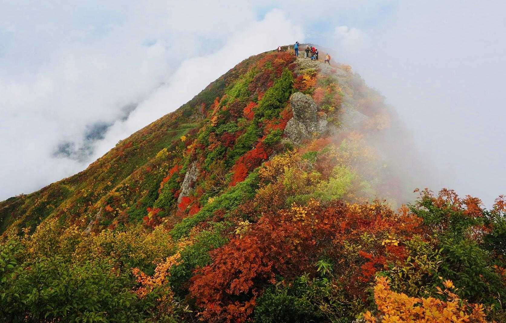 八海山（ロープウェー山頂駅）<山頂駅・女人堂・薬師岳・千本檜小屋>の写真