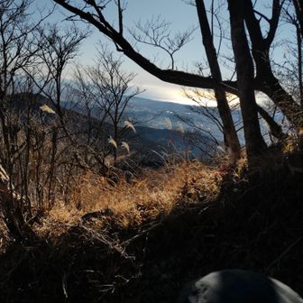 相模湾、キラキラして美し…