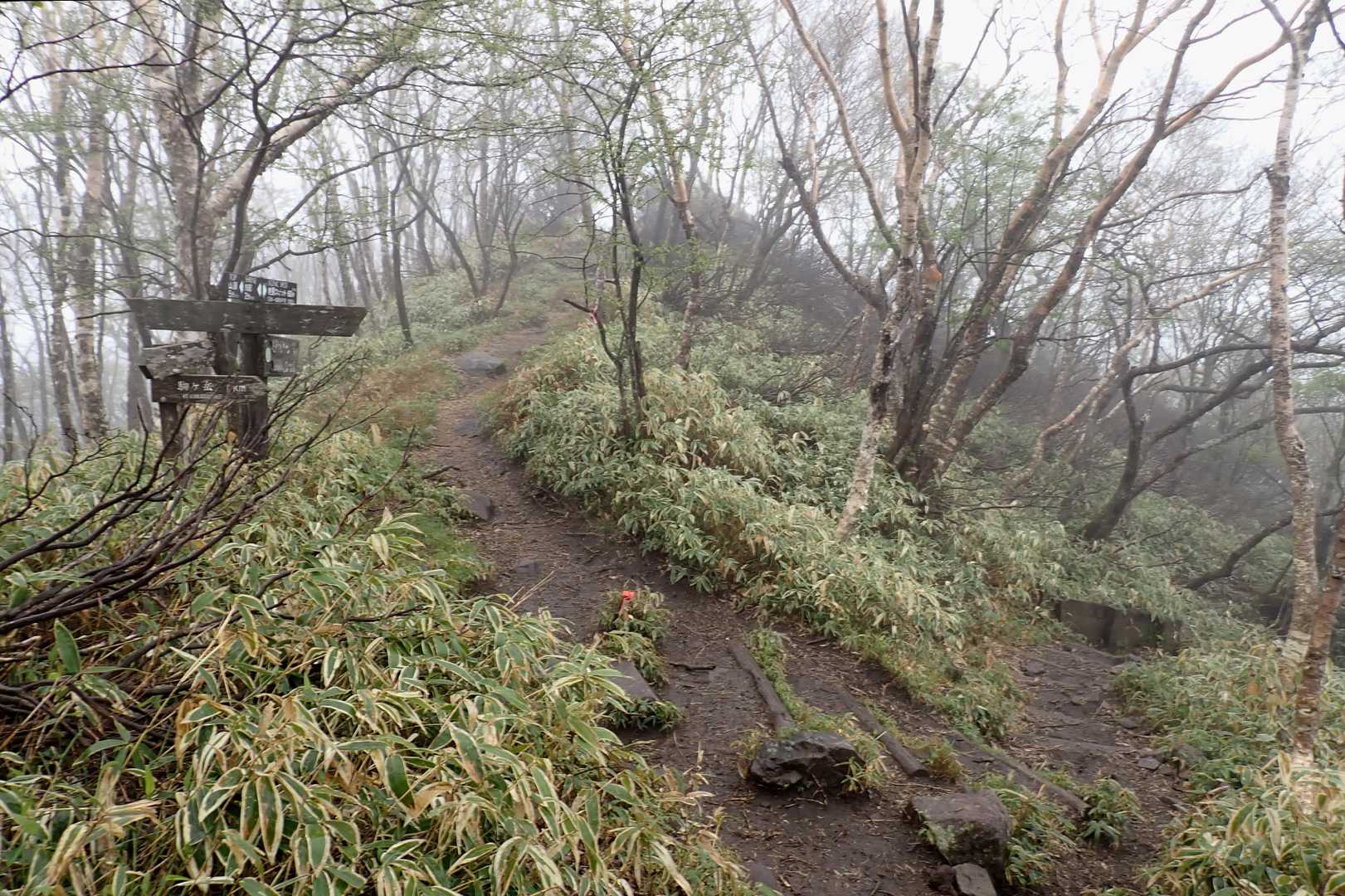 真っ白を堪能したので…
下山します⤵
