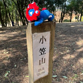 4つ目のピーク！コンプリート