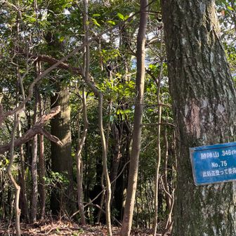 15
トドメの2座でした〜疲れた😓