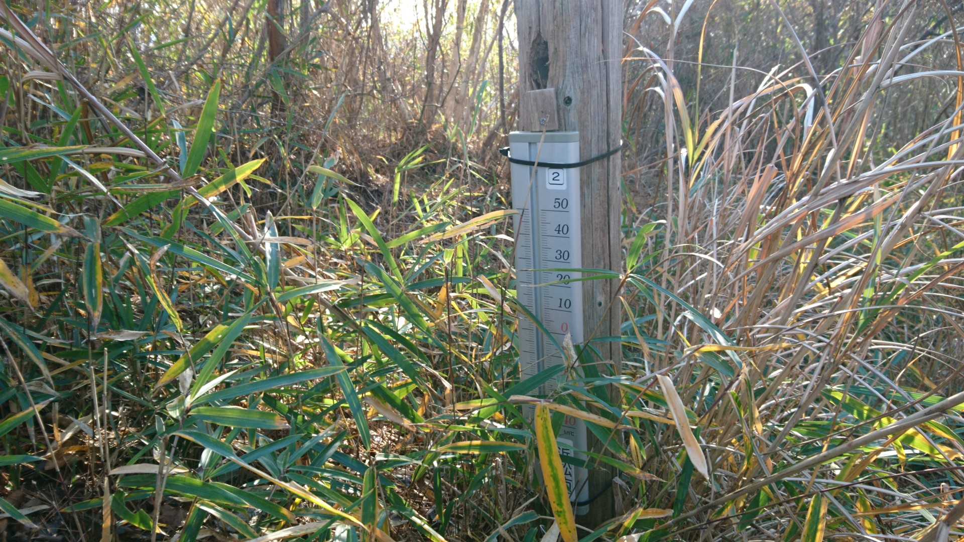 ヤマップの山頂点。標識無し！温度計７度🌡️