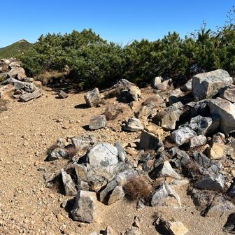 新越岳は、ケルンがあるだけ。
黒部側の新越沢からの命名だけど古い地図には載ってない。
いったい誰が名付けたのだろう？
グッジョブ❗️👍