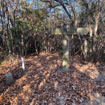 少し戻って大庭山　頂上着きました！