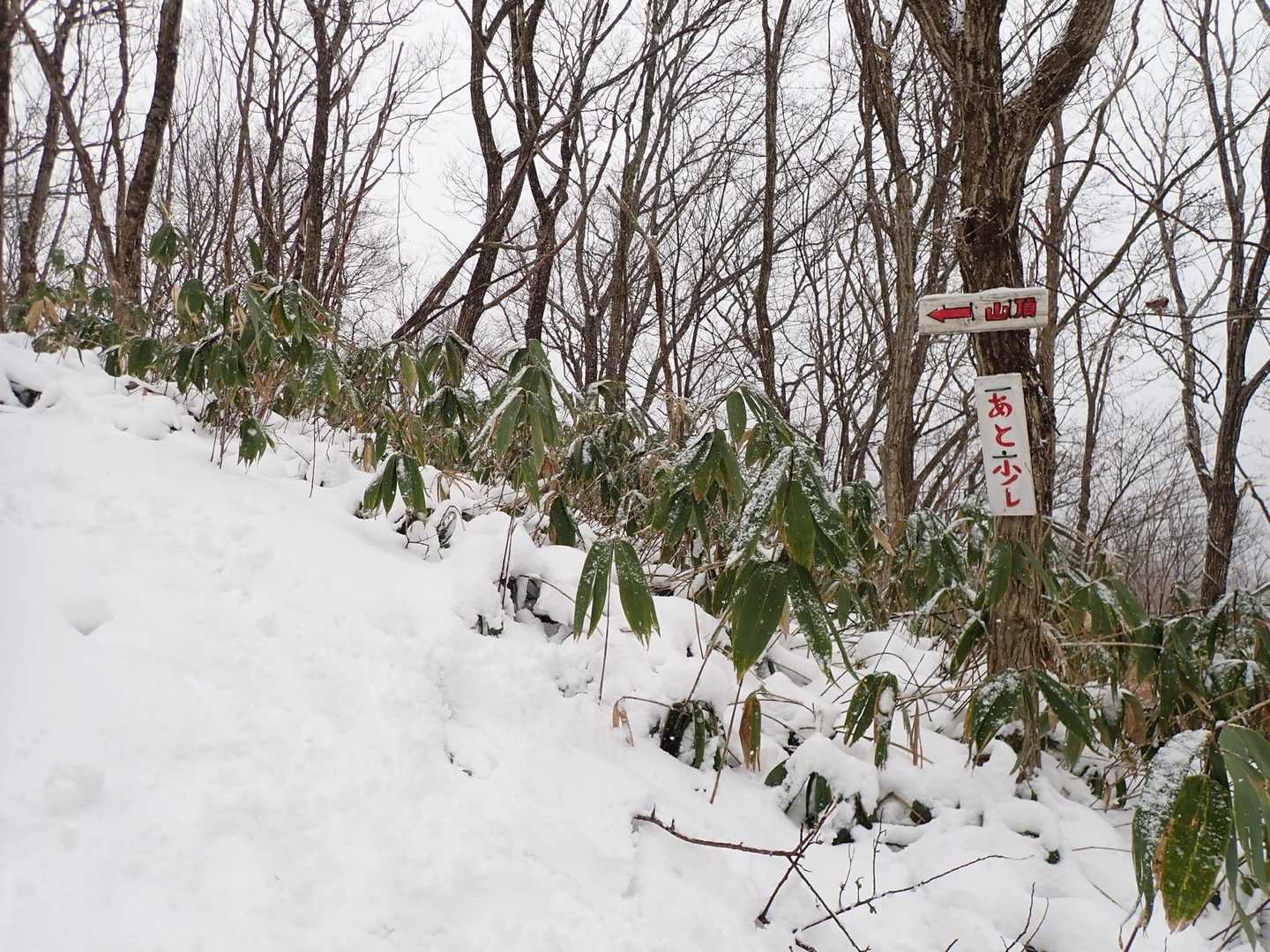 あと少しの山頂は