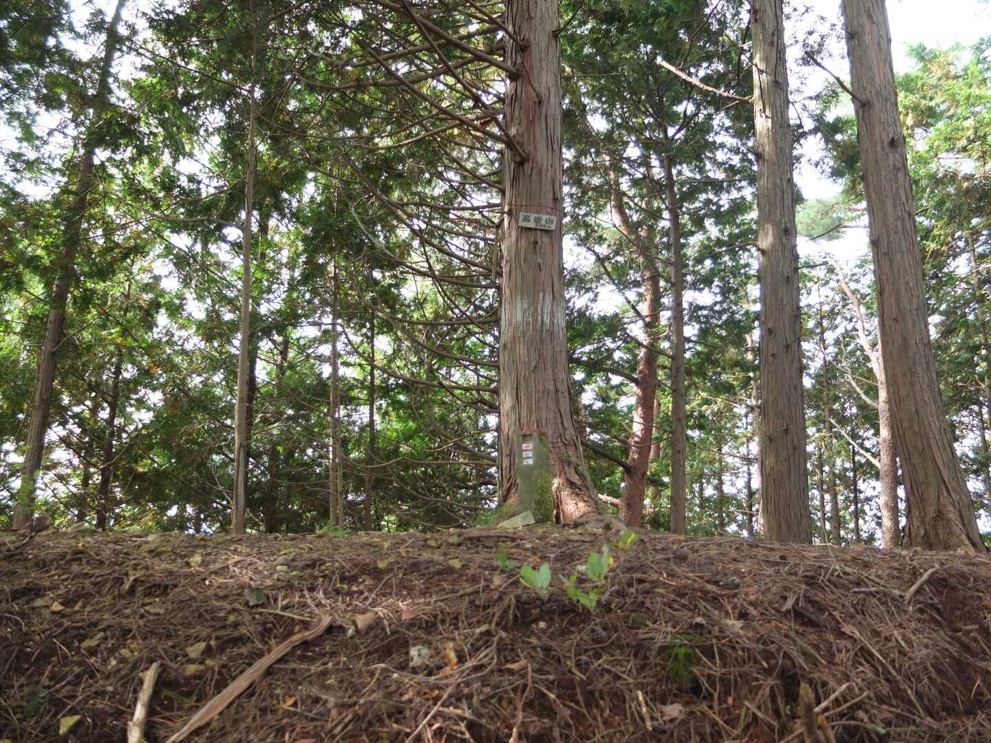 高岩山の写真