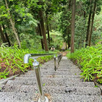 世界に蔓延る悪い気を全て溜め込んだこの呪物を…