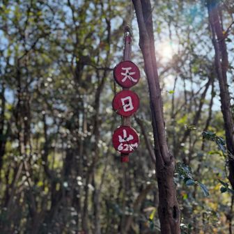 お団子標識や〜。