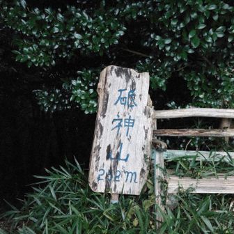 偽ピークだった、、