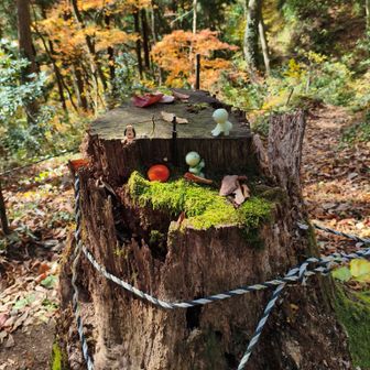 ユーザーみやみや