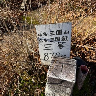 三国山までは１０分とありましたが、最後の登りはなかなか急で歩きにくいものでした。