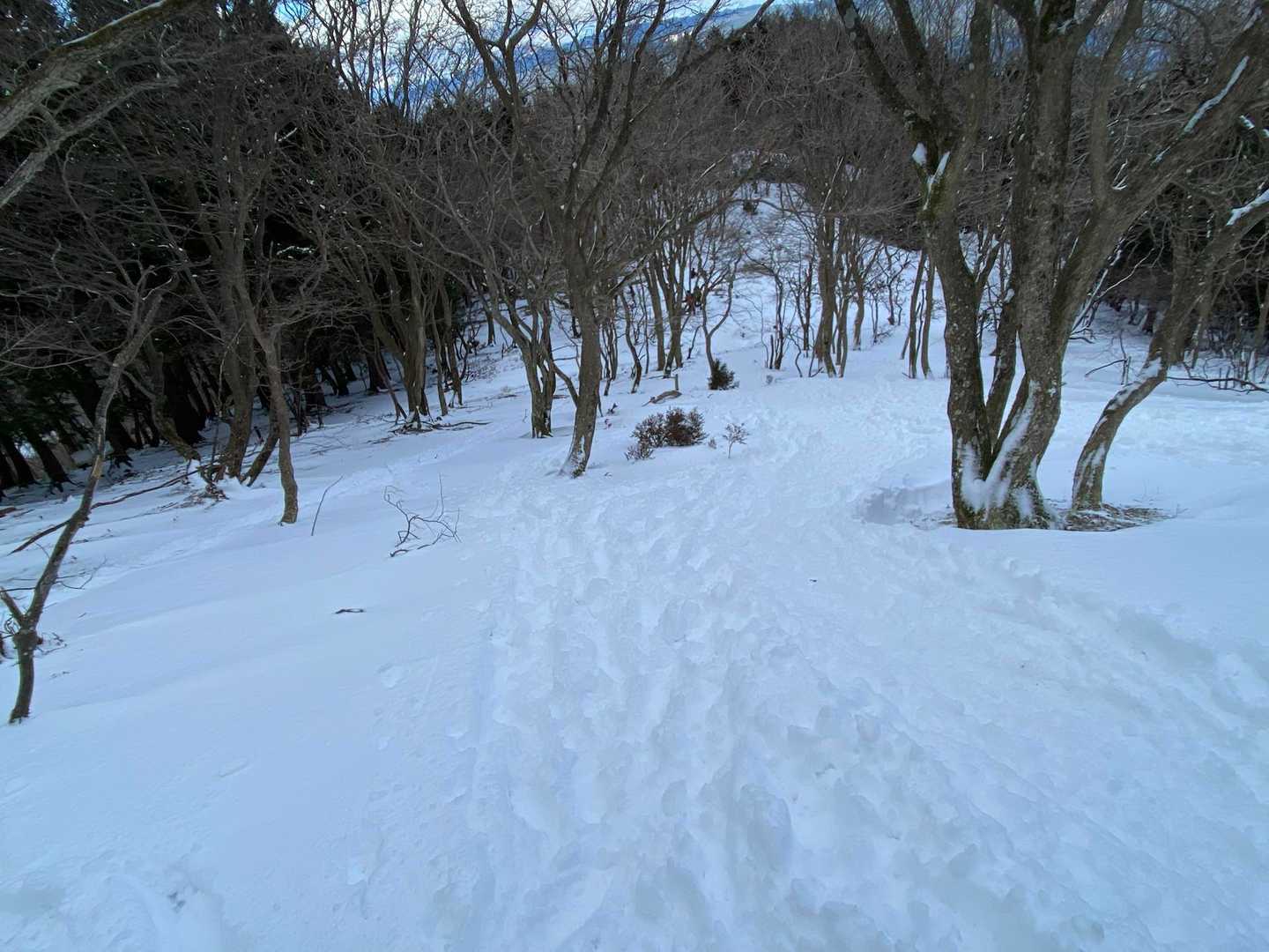 アイスバーンは木に激突注意⚠️