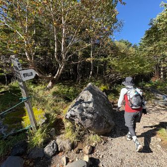 少し休憩していざ山頂へ