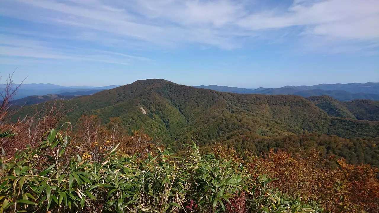 皮投岳の写真
