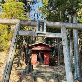 新堀神社に到着。ピストンで戻ります