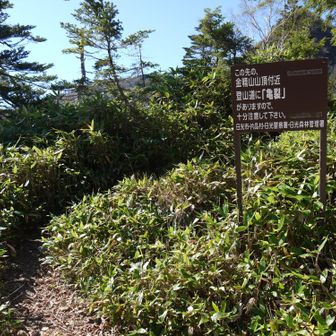 金精山は先程の建物の左側を行きます。