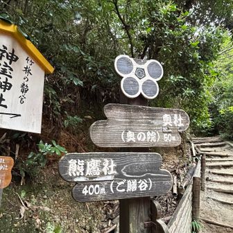 根上がりの松の真向かいから竹の下道へと続く登り口