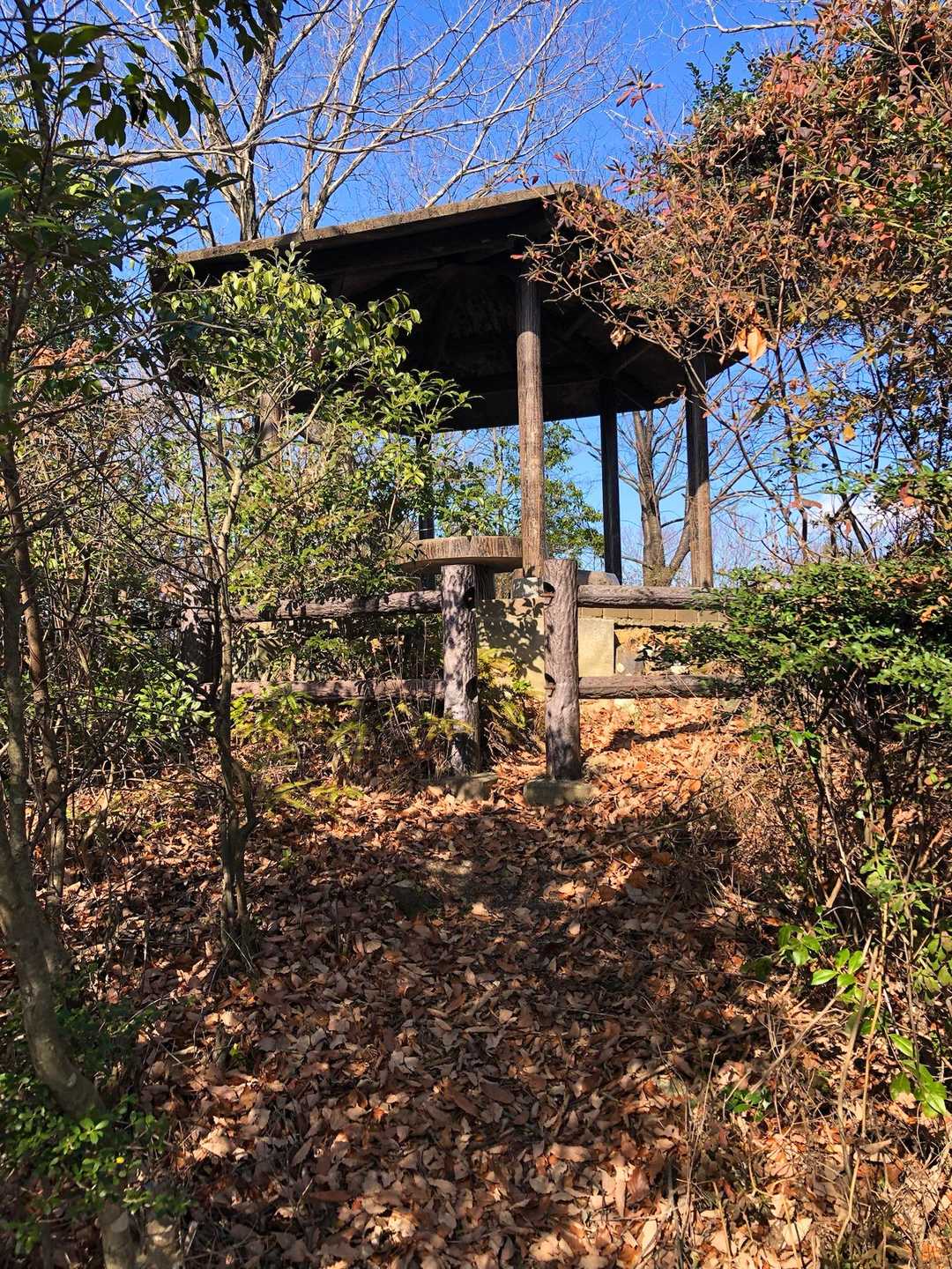 牟礼山に着きました。牟礼（ムレ）とは古代言語で「山」のことだそうです。