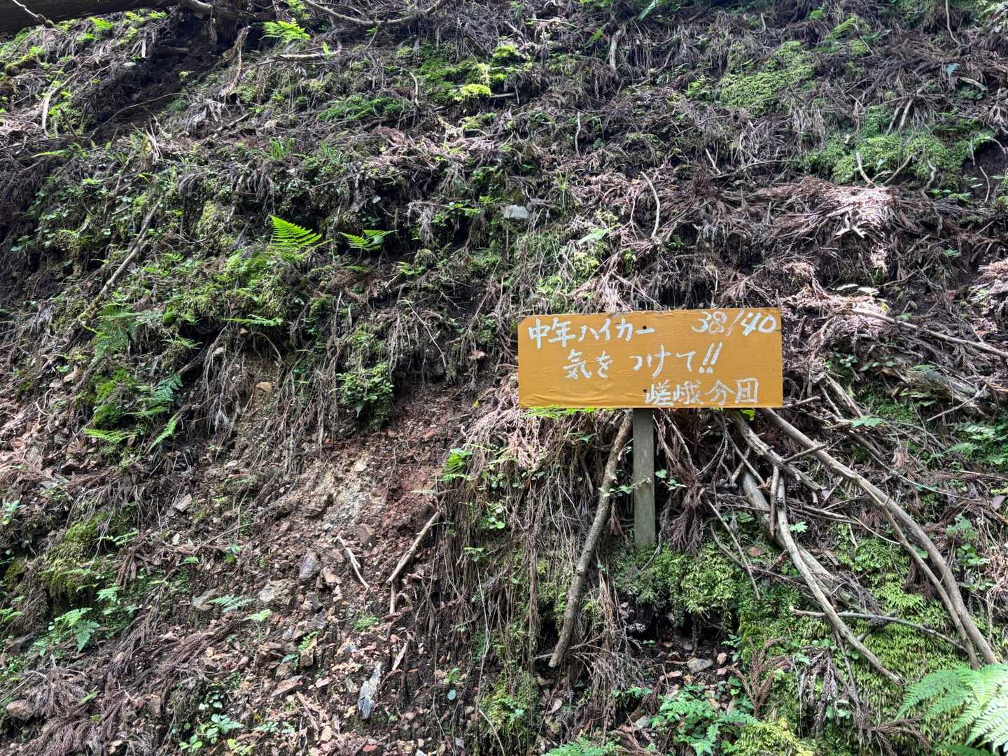 (私もまもなくアラフォー…気をつけよう)