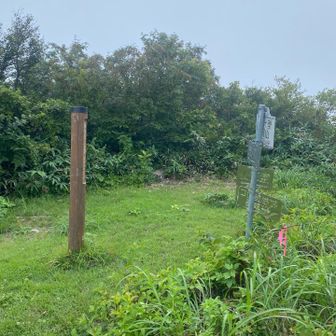 菱到着
やっぱりこっち周りはキツイな〜