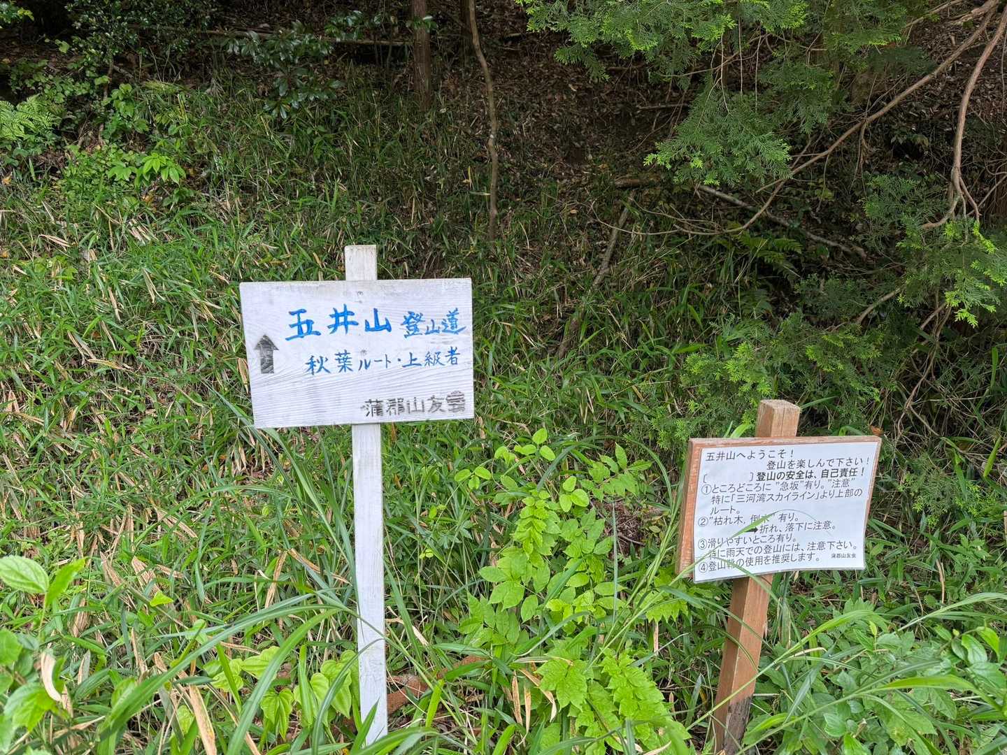 上級者みたいだ😎