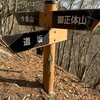 ほぼ同じ時間にスタートしてすぐ分岐。
今日は御正体山ではなく、今倉山へ。