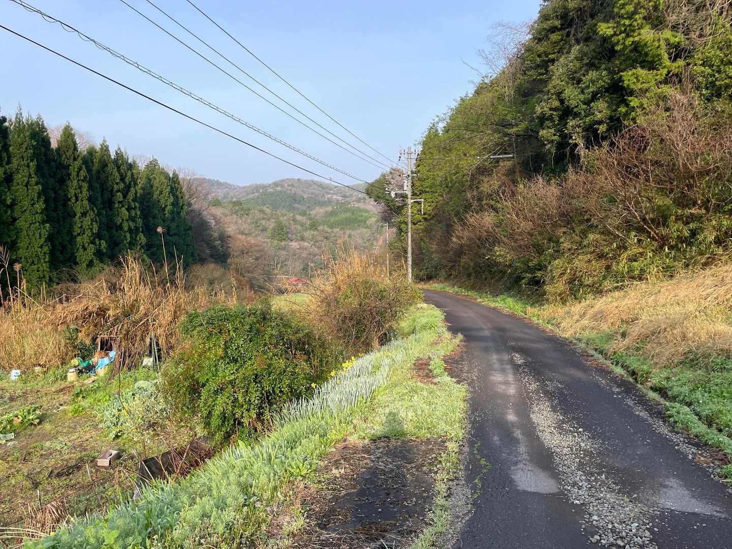 春うららの風景。