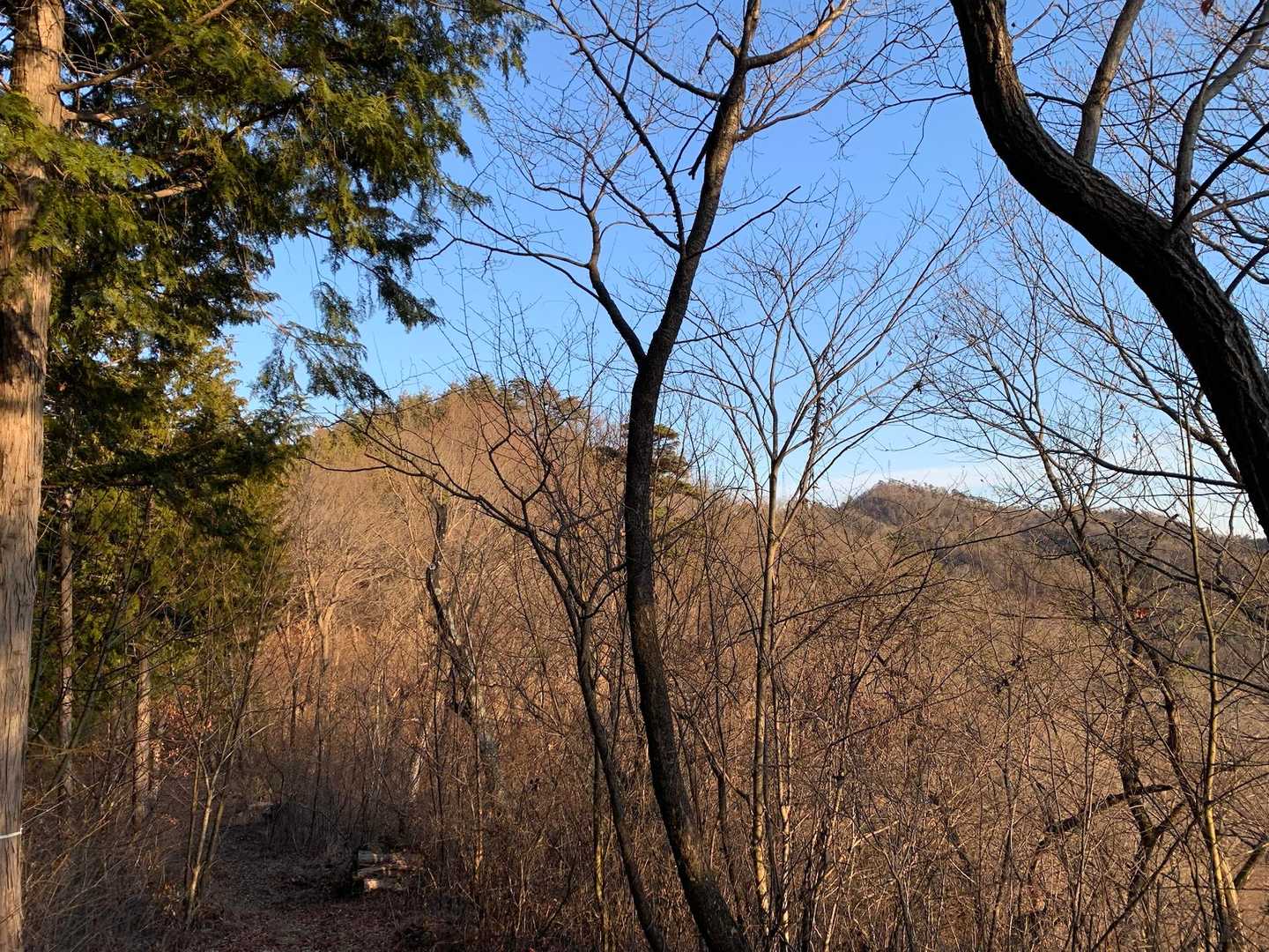 あそこに見えるのが東山。
ても三角点からはすぐです。
