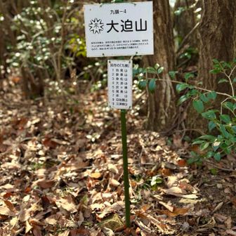 大庭山、市原山を経て、九嶺･大迫山に到着🏔